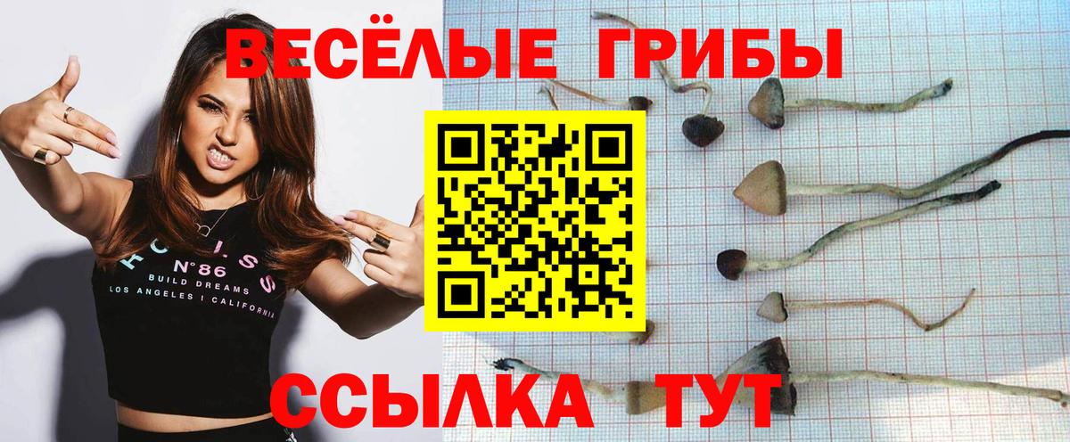 Галлюциногенные грибы ЛСД  Псилоцибиновые грибы GOLDEN TEACHER  Рыбинск  Вход с VPN 